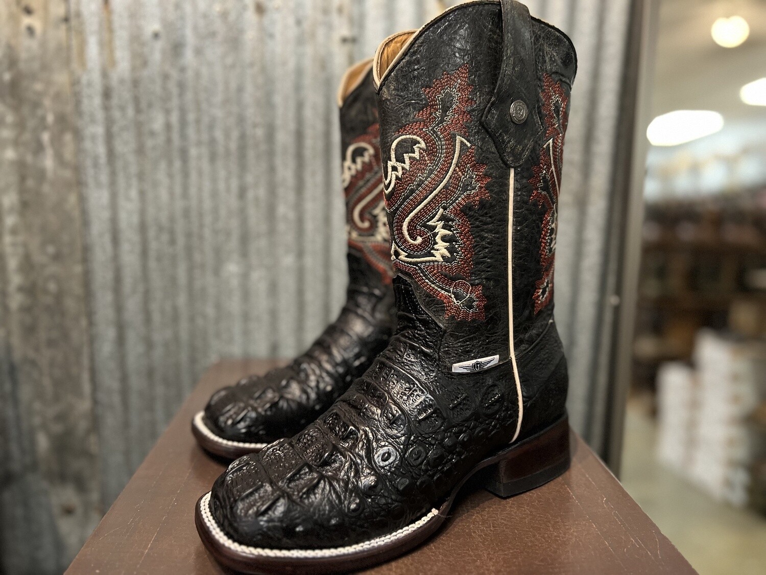Black Alligator Prints