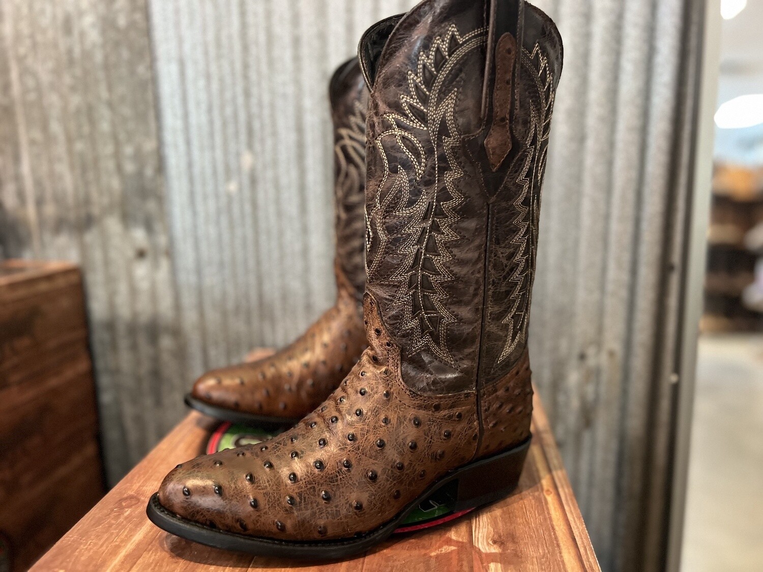 Ostrich Oval Toe