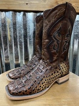 Cognac Gator Prints