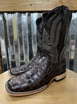 Brown Alligator Prints