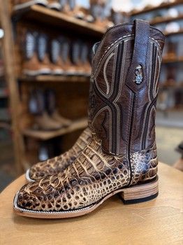Honey Brown Gators