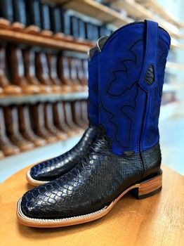 Royal Blue Pythons