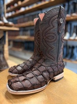 Chocolate Pirarucu EXOTICS