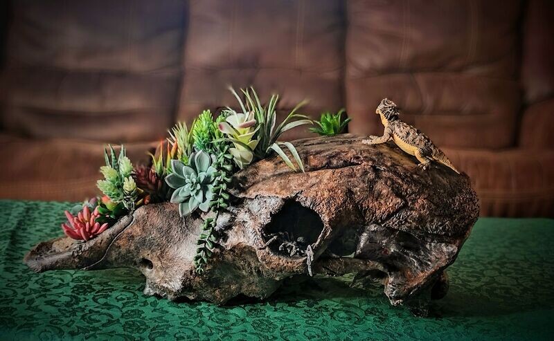 Stone cow skull faux planter