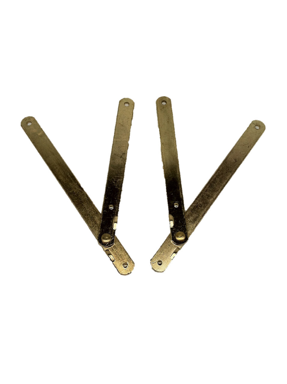 Canopy Hinges (Qty. 2)