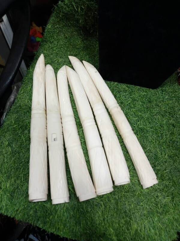 Traditional Wedding Elephant Tusk