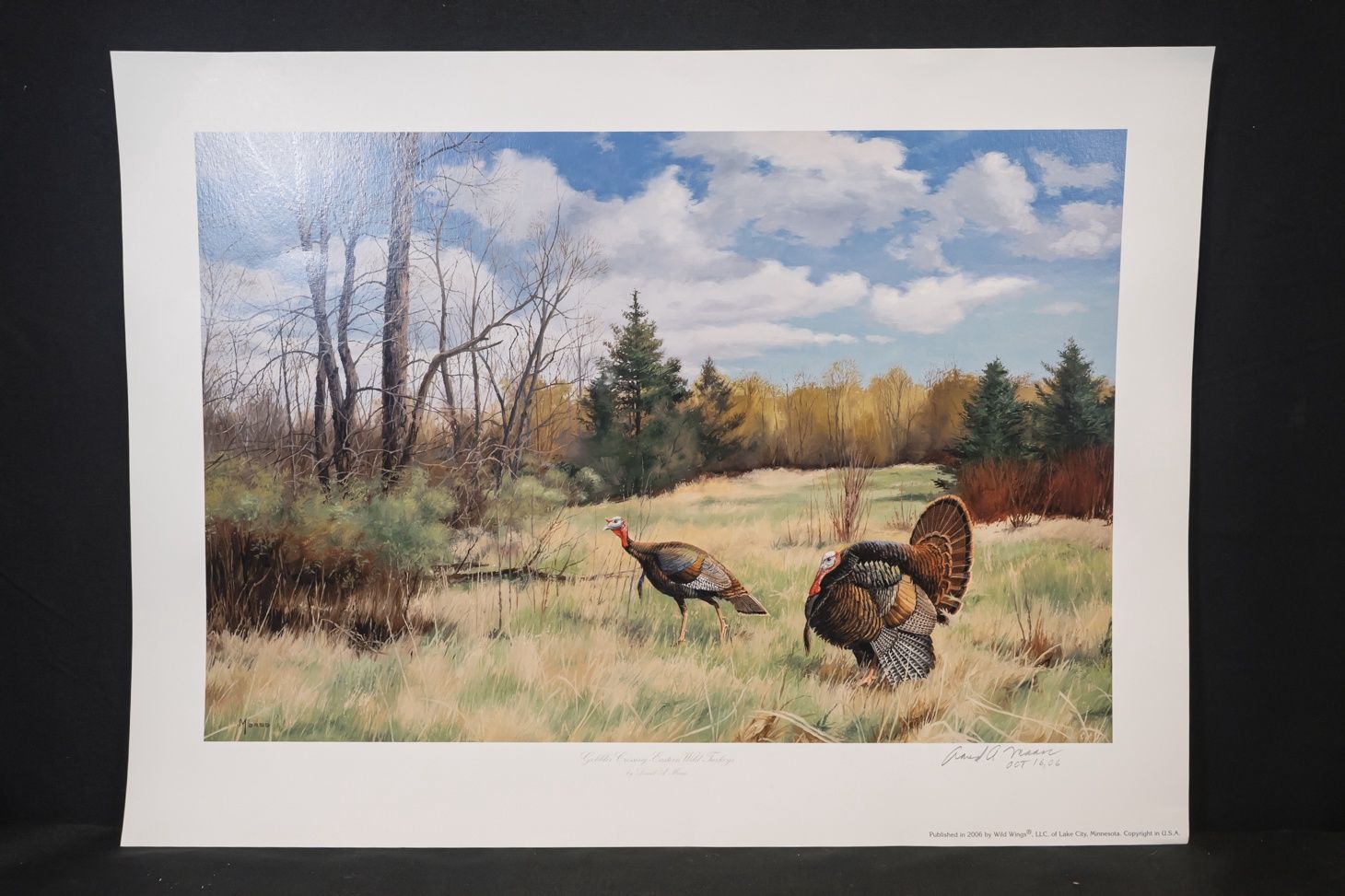Winter Valley Gobblers by David Maass
