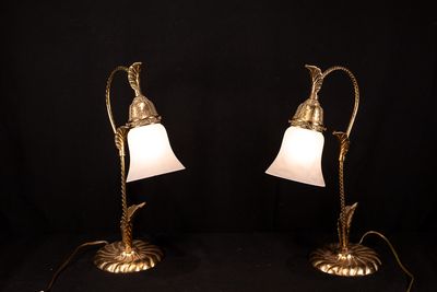 Vintage Flower Shaped Brass Table Lamps with Frosted Glass Shades