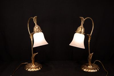 Vintage Flower Shaped Brass Table Lamps with Frosted Glass Shades