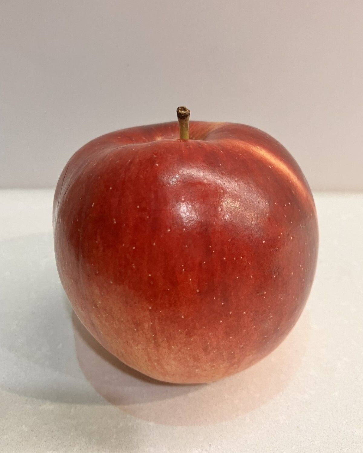 Malus 'Spartan'
