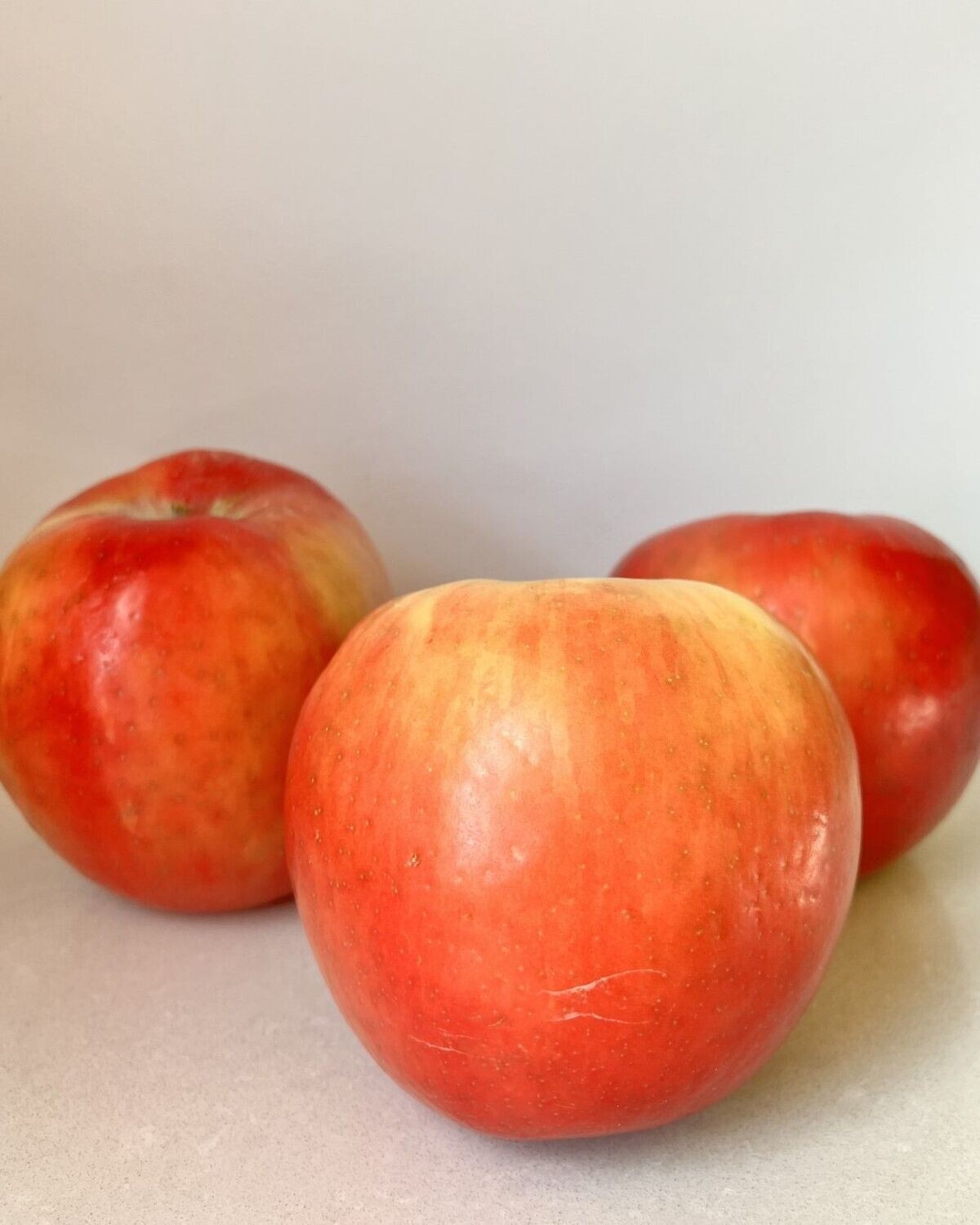 Malus 'Honey Crisp'