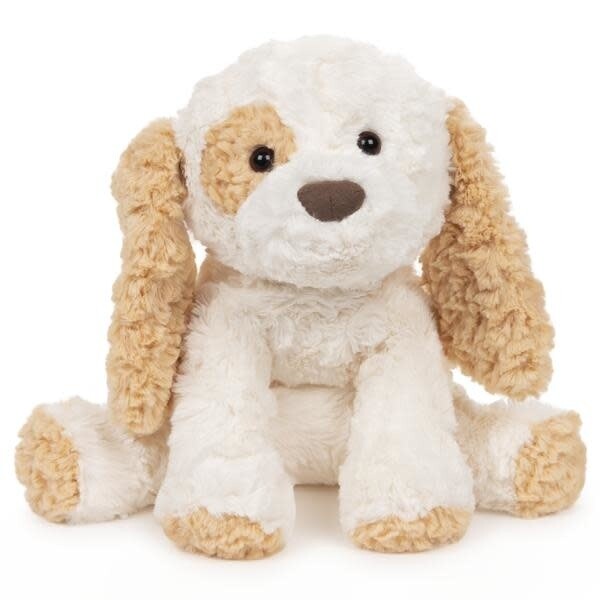 Cozys Puppy