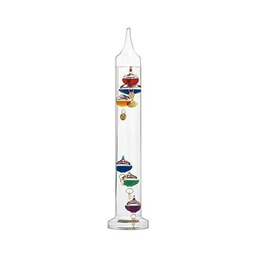 Galileo Thermometer.