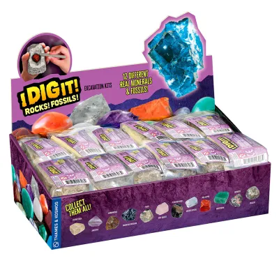 I Dig It Rocks Mini Excavation