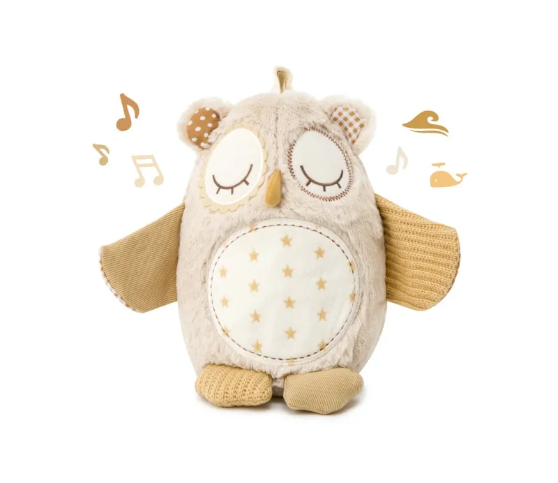 Night Night Owl Smart Sensor