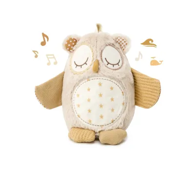 Night Night Owl Smart Sensor