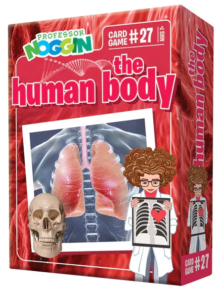 Prof. Noggin The Human Body