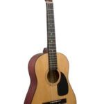 Guitar Acoustic