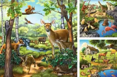 3x49Pc Forest and Zoo Animals Puzzle