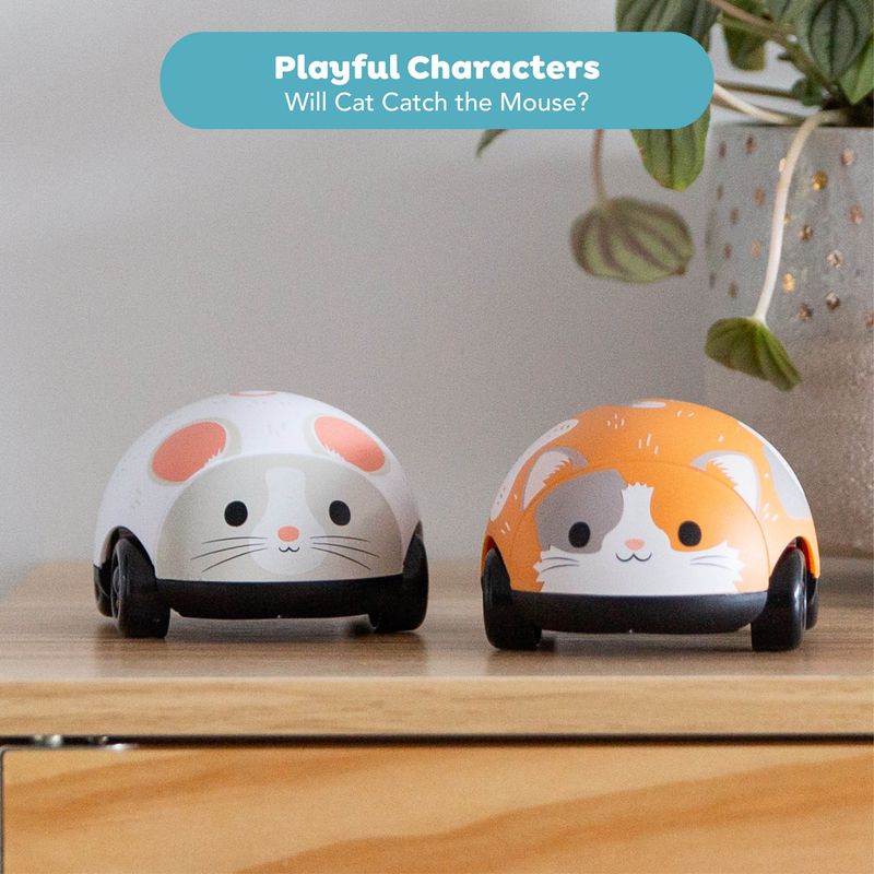 Zoomies Cat and Mouse