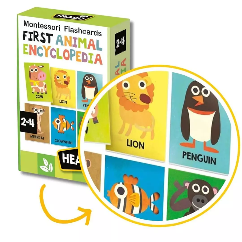 Flashcards Animal Encyclopedia