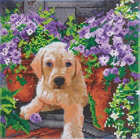 Crystal Art Kit Mounted Floral Pup