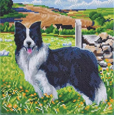 Crystal Art Kit Mounted Pup in the Field