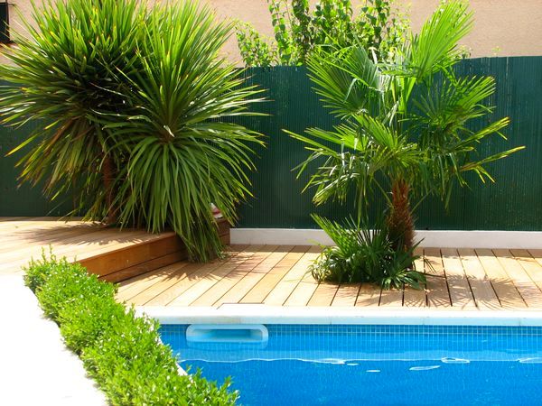 Terrasse itauba