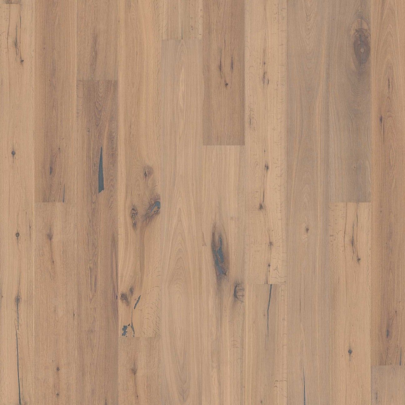 Distressed Tundra