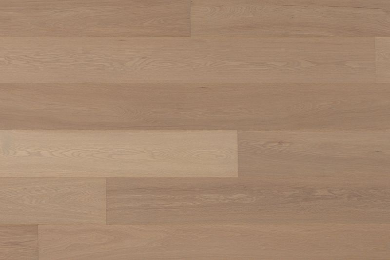 Bergamo Titanium