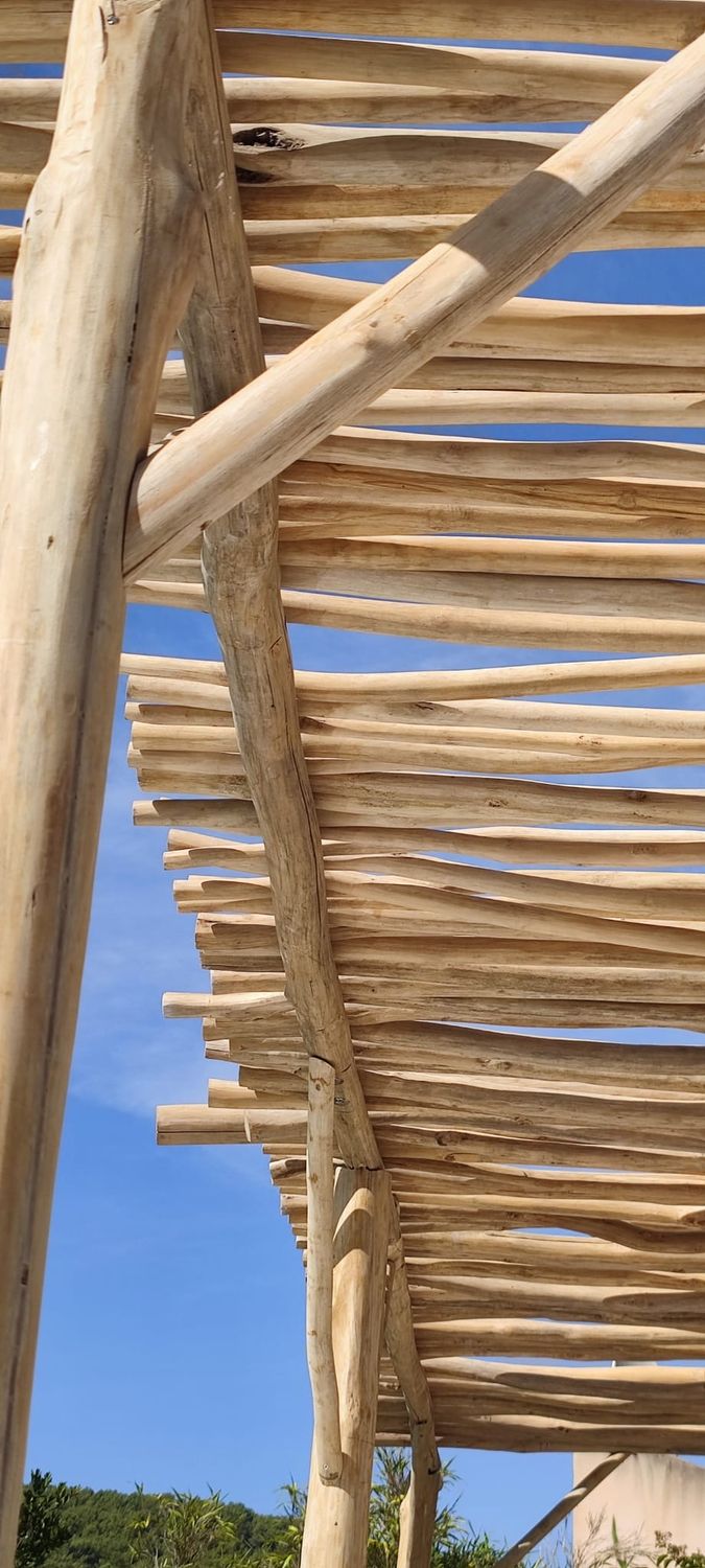 Pergola en branche de teck
