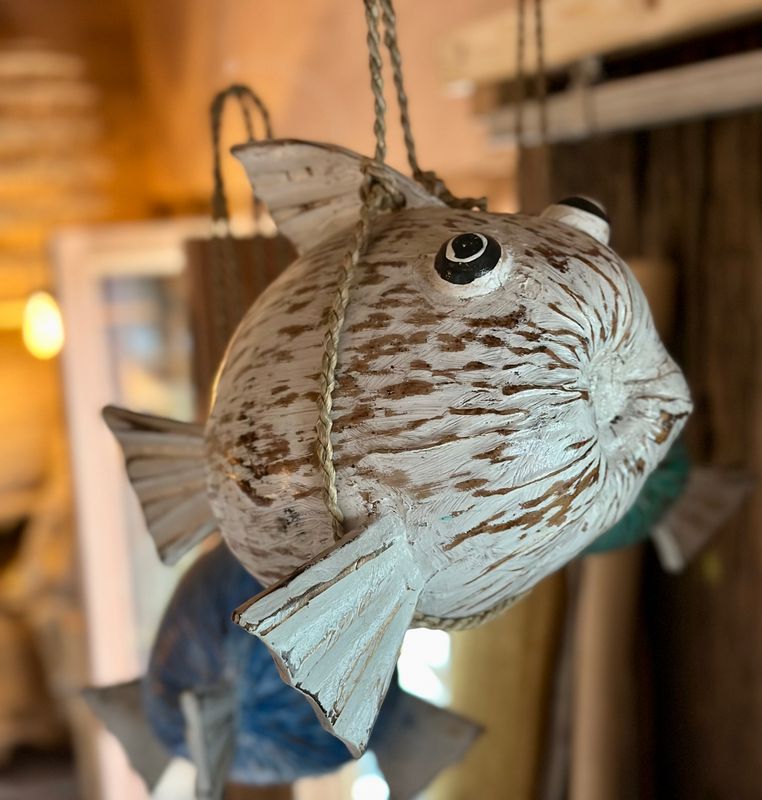 Poisson coco