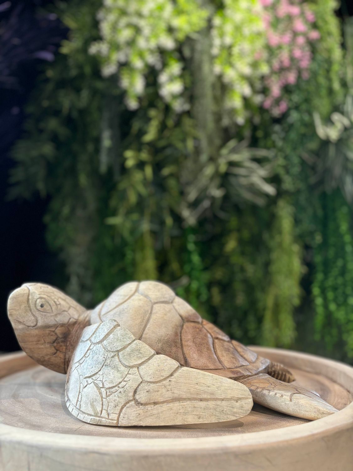 Tortue