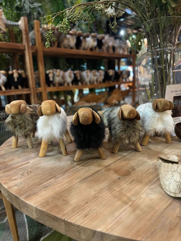 Chien