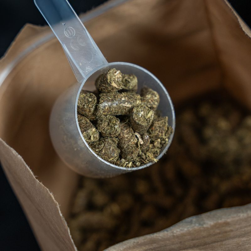 Hanfstroh Cobs mit CBD