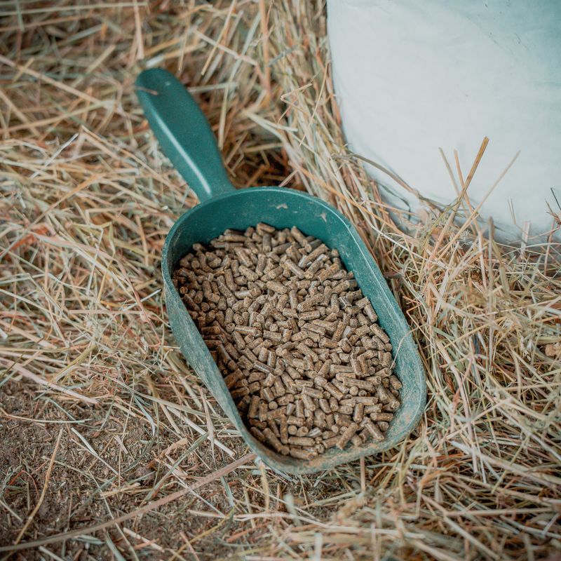 Naturkraft Premium – Ergänzungsfutter für Pferde für mehr Vitalität, Energie & Wohlbefinden