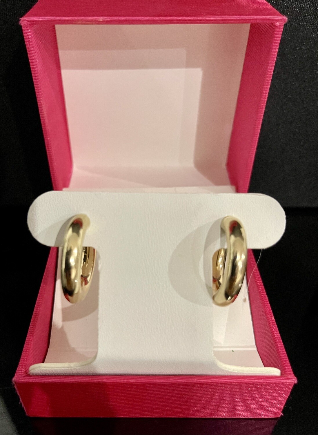 10Kt Gold Hoop Earrings
