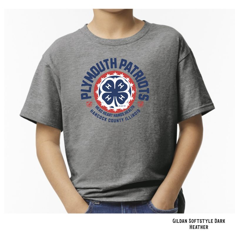 Plymouth Patriots Design Option 2 (Gray)