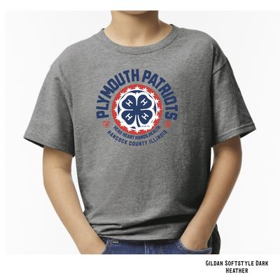 Plymouth Patriots Design Option 2 (Gray)