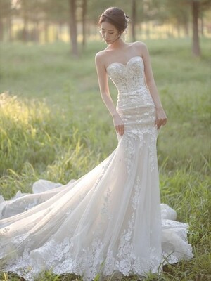 Lace Fishtail Wedding Dress 2024 New Tube Top Outdoor Light Yarn Elegant Travel Photography Outdoor Lawn Wedding Trailing Dress