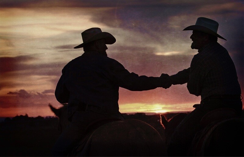 Equine Bill of Sale