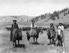 HEADSTALLS