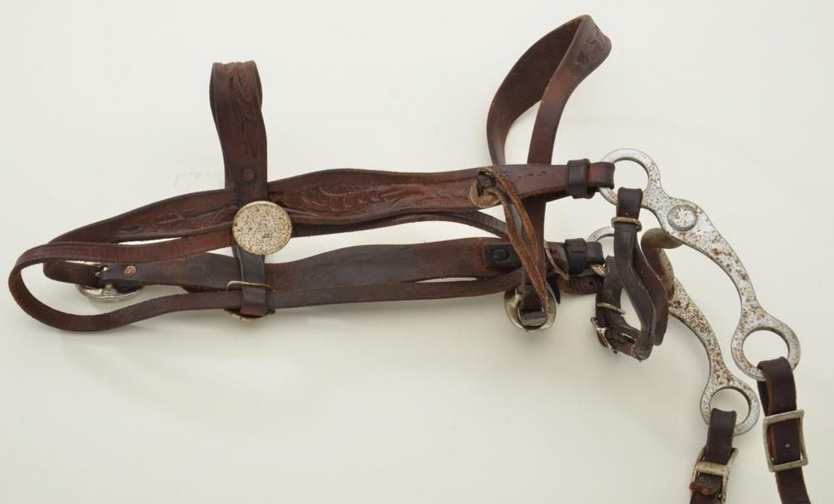 Pony Western Bit with Leather Headstall and Reins