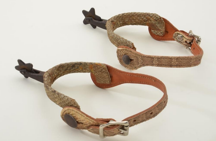 Arrow Shank with Rattle Snake Skin Covering