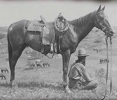 SADDLES