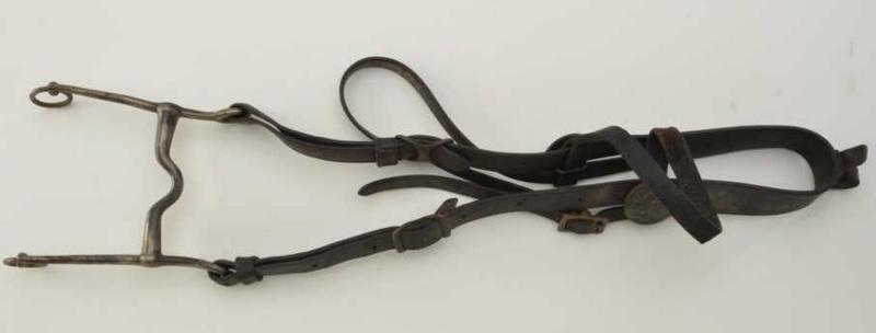 U.S. Army Leather Horse Headstall