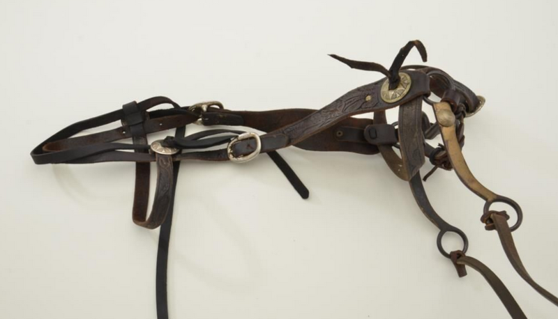 Classic Old West Headstall with Buffalo Head Nickel Bit