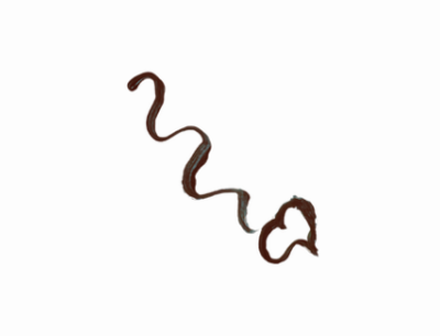 Liquid Eye-Liner ~ Brown Silk