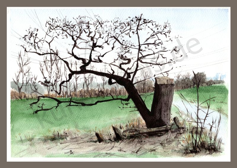 Originalarbeit "An der Sieg bei Troisdorf", Aquarell, 28,5 x 20 cm