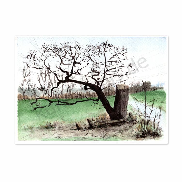 An der Sieg bei Troisdorf